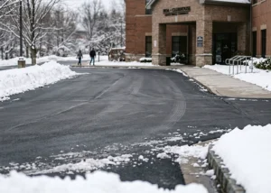 seasonal vs per push snow removal